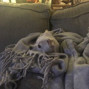 Meet your Posher, Kathy